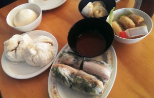 Miss Chu lunch dumplings rice paper rolls spring rolls